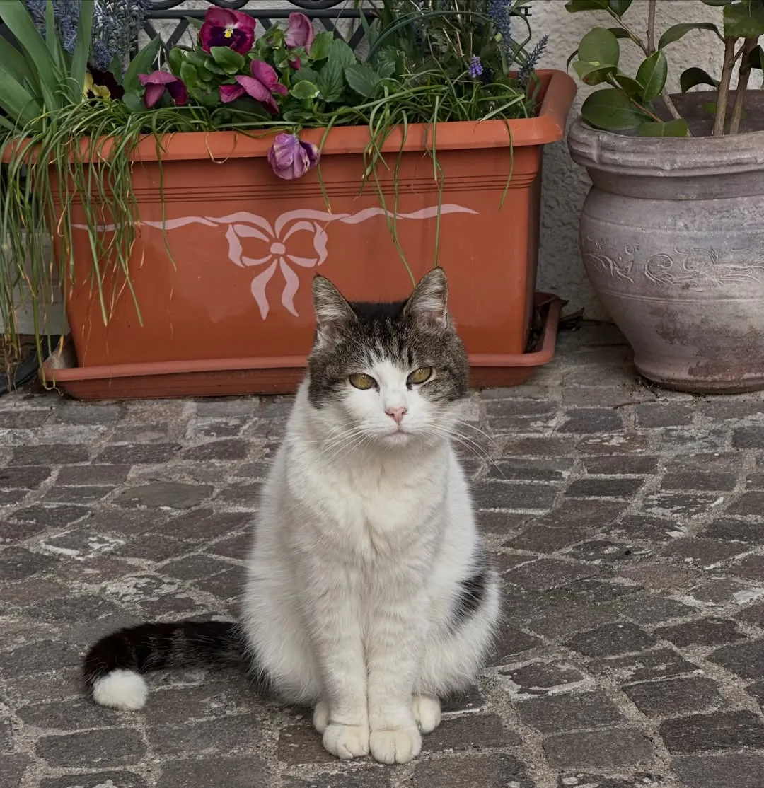 A regular in our lane